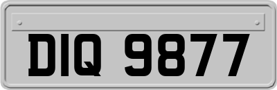 DIQ9877