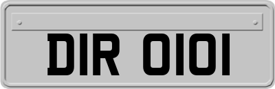 DIR0101