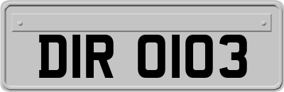 DIR0103