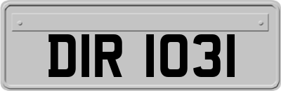 DIR1031