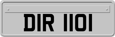DIR1101