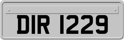 DIR1229