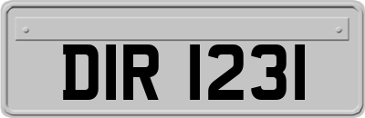 DIR1231