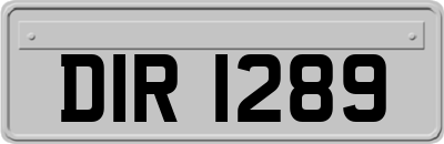 DIR1289