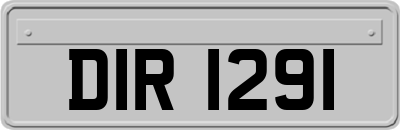DIR1291