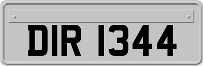 DIR1344