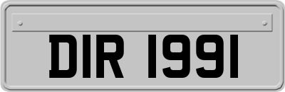 DIR1991