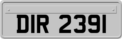 DIR2391