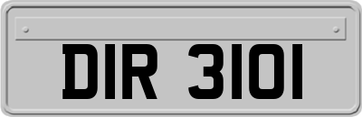DIR3101