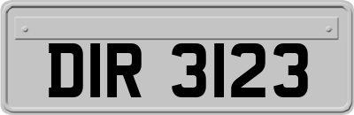 DIR3123