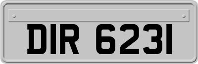 DIR6231
