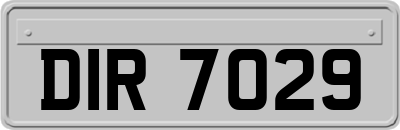 DIR7029