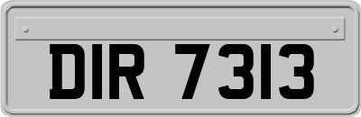DIR7313