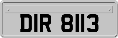 DIR8113