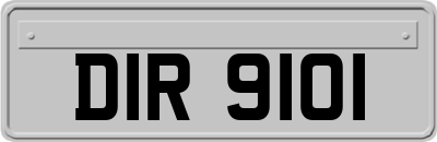 DIR9101