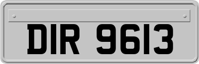 DIR9613