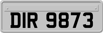 DIR9873