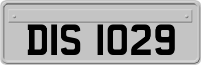 DIS1029