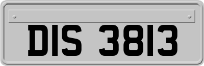 DIS3813