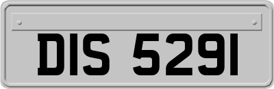 DIS5291