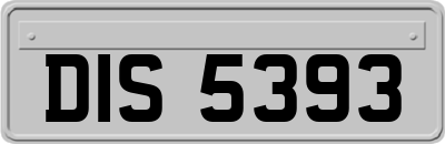 DIS5393