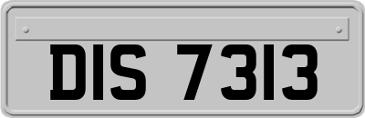 DIS7313