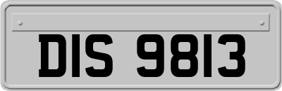 DIS9813