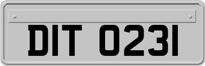 DIT0231