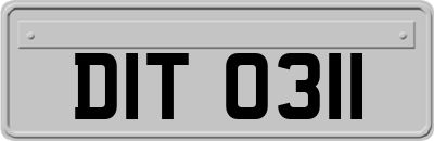 DIT0311