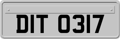 DIT0317