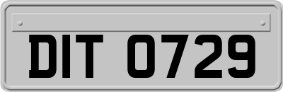 DIT0729
