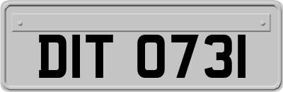 DIT0731