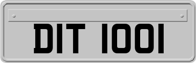 DIT1001