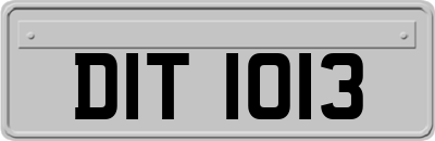 DIT1013