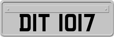 DIT1017