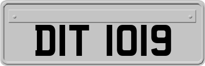 DIT1019