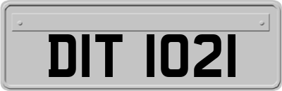 DIT1021