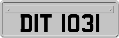 DIT1031