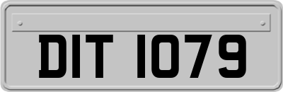 DIT1079