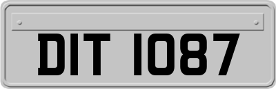 DIT1087