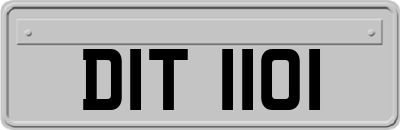DIT1101