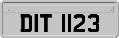 DIT1123