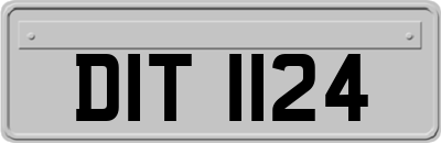 DIT1124