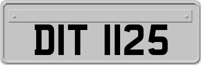 DIT1125