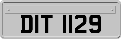 DIT1129