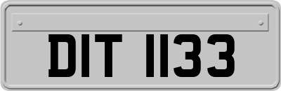 DIT1133
