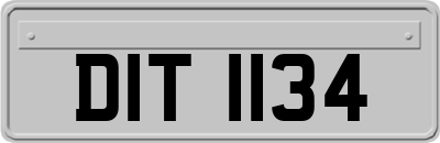 DIT1134