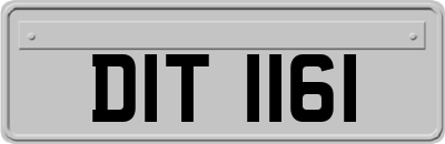 DIT1161