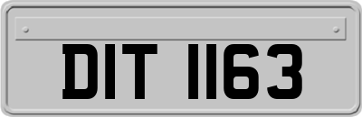 DIT1163