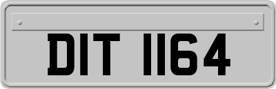 DIT1164